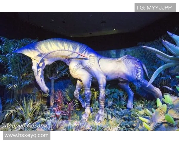 探索奥蓬达的魅力与神秘，揭开这片土地的历史与文化面纱