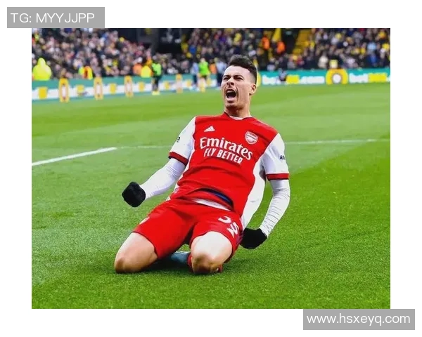 马丁内利的崛起之路：从青训小将到足球明星的华丽转身