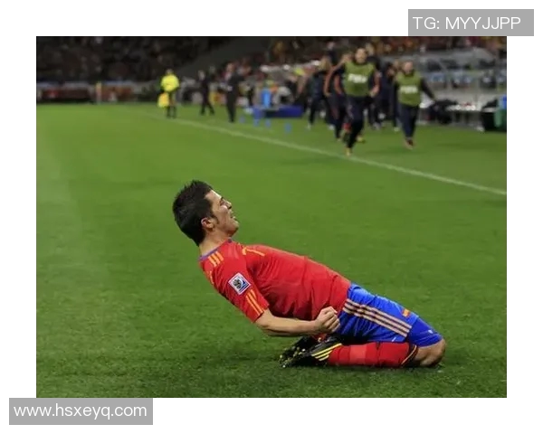 2010年西班牙与巴拉圭激战回顾央视精彩解说全记录