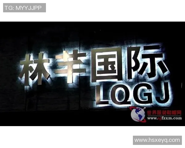 深圳排球队的转型之路：从传统强队到现代化竞技新标杆