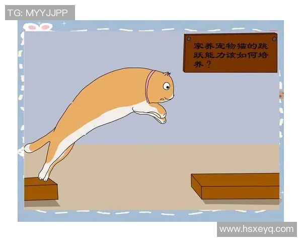 科学网球训练新方法提升个人能力与竞技水平的全面指南