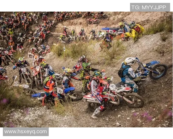 极限运动新手必看：从零开始的耐力训练全攻略与实用技巧分享